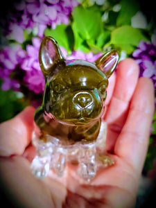 Pet Ashes Urn Paperweight keepsake Memorial Sympathy Gift with ashes in resin like glass Pet remembrance.Cats & Dogs memories. Paperweights.