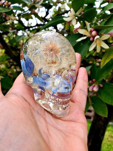 Resin Skull Real Dandelion Preserved Flowers Paperweight Keepsake. Preserved Flower Paperweight.Flowers Keepsake.Flower Skull Paperweight.