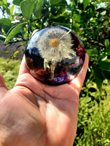 Custom Dandelion Resin Paperweight! A thoughtful gift for a loved one! A half of large sphere, orb, globe, keepsake. Make a wish!Home decor.