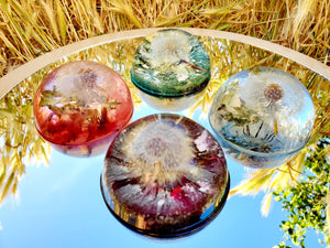 Dandelion Resin Paperweight! A thoughtful gift for a loved one! A half of large sphere, orb, globe, ball keepsake.Make a wish!Home decor.