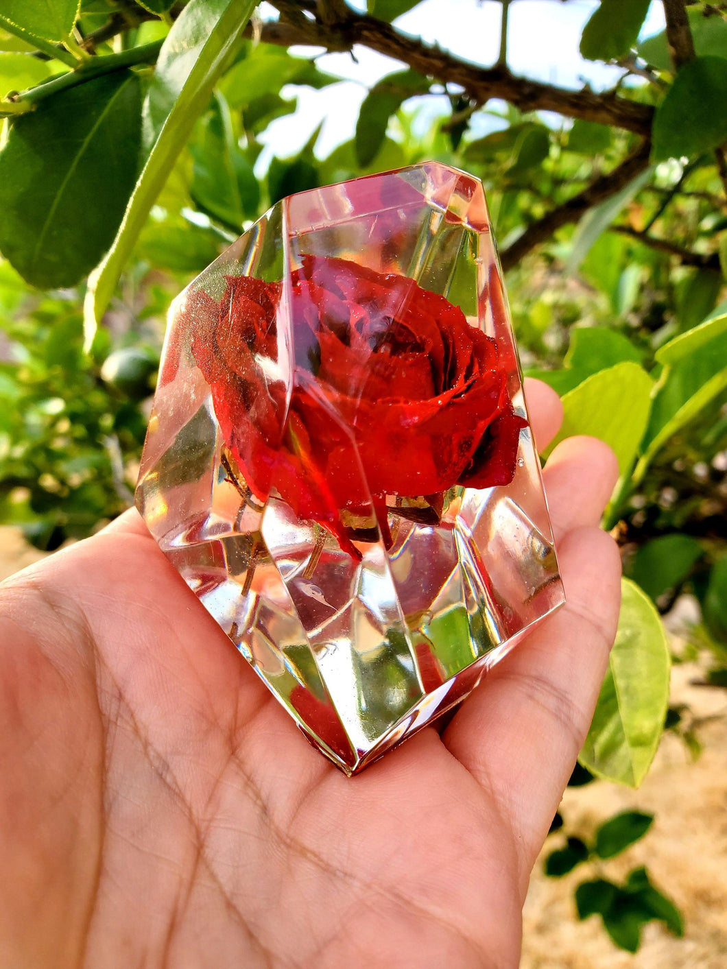 Resin Red Rose Flowers Crystals Paperweight.Beauty and the Beast Paperweight Keepsake Love Forever. Preserved Rose Flowers.Healing Crystals.