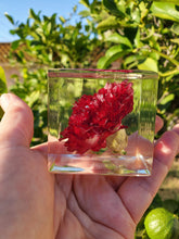 Resin Red Carnations in cube diamond crystal keepsake paperweight NATURAL GIFT. Carnation Paperweights. Home Office Deck Decor.Crystals