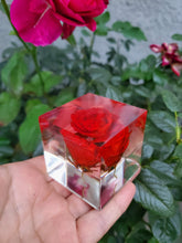 Resin Red Rose Flowers Crystals Paperweight.Beauty and The Beast Paperweight Keepsake. Love Forever Preserved Rose Flowers.Healing Crystals.