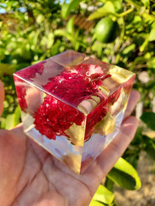 Resin Red Carnations in cube diamond crystal keepsake paperweight NATURAL GIFT. Carnation Paperweights. Home Office Deck Decor.Crystals