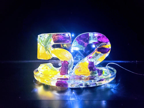 Custom Preserved wedding Flowers Petals in Large Resin Digits Age Numbers Sign Keepsake memories of your anniversary. Fairy Lights Lamp.