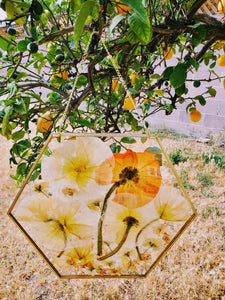 Custom Pressed Flowers Bouquet Preservation, Wedding Bridal DRIED Flowers, Funeral Pressed Flowers, Pressed Flower.Wall Hanging Glass Frame.