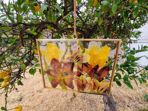 Custom Pressed Flowers Bouquet Preservation, Wedding Bridal DRIED Flowers, Wedding, Funeral Pressed Flowers, Keepsake. Hanging Frame Decor