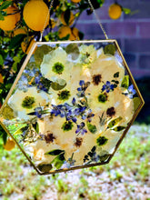 Custom Pressed Flowers Bouquet Preservation, Wedding Bridal DRIED Flowers, Funeral Pressed Flowers, Pressed Flower.Wall Hanging Glass Frame.