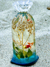 Aquarium Fish in a Bag Miniature Diorama Terrarium Fish Tank Herbarium Koi Carp Fish miniature under water. Ocean diorama, Mini aquarium