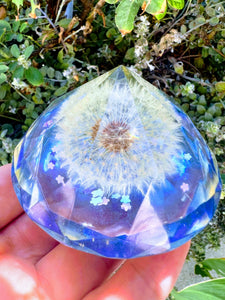 Dandelion paperweight keepsake. Home Office Desk décor. Great gift for her and him. Healing Crystals..