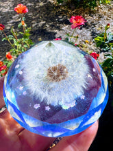 Dandelion paperweight keepsake. Home Office Desk décor. Great gift for her and him. Healing Crystals..
