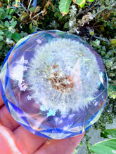 Dandelion paperweight keepsake. Home Office Desk décor. Great gift for her and him. Healing Crystals..