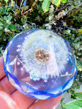 Dandelion paperweight keepsake. Home Office Desk décor. Great gift for her and him. Healing Crystals..